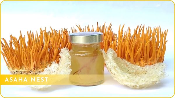 cách làm yến chưng đông trùng hạ thảo